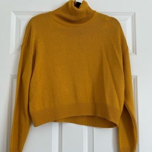 Divided Crop Sweater